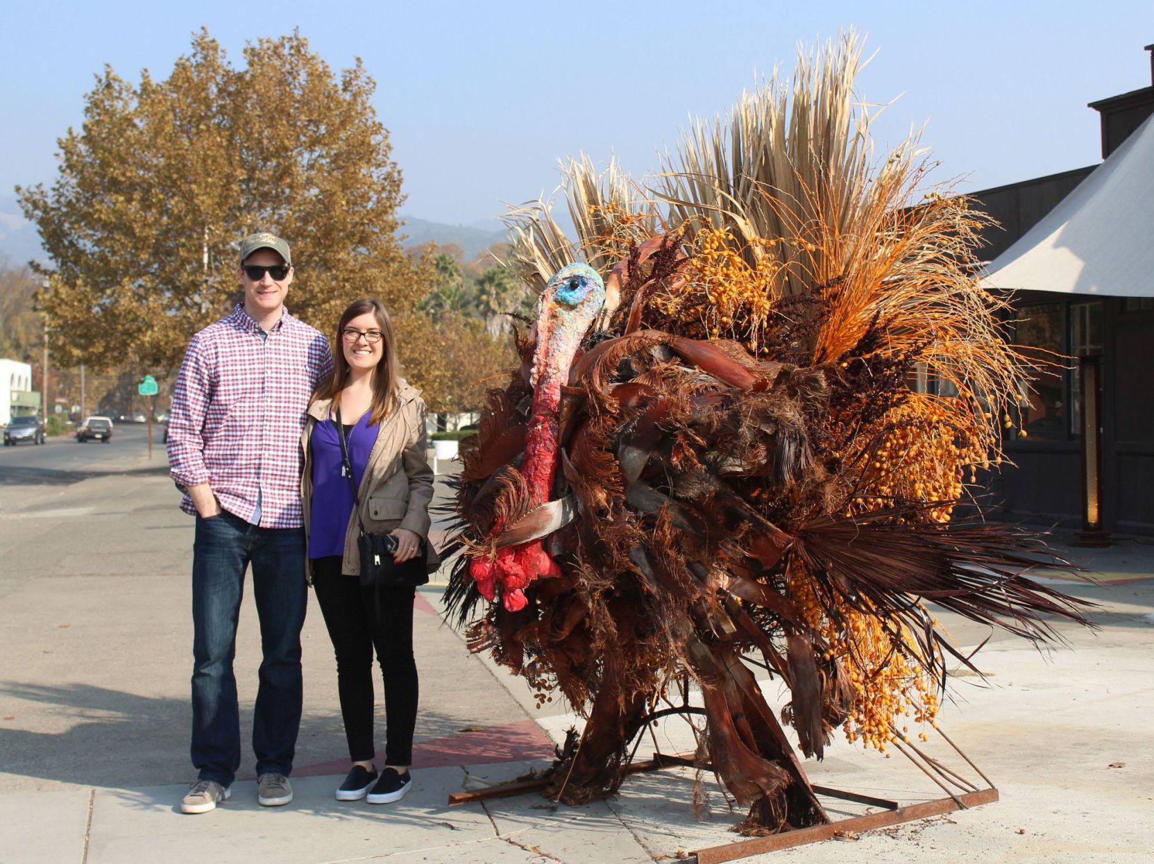 Mystery turkey
